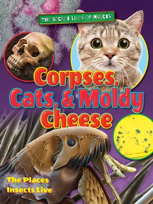 cover image of Corpses, Cats, and Moldy Cheese